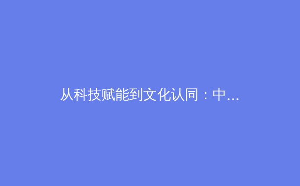 从科技赋能到文化认同：中国体育产业数字化转型的深层逻辑与未来挑战 - 4